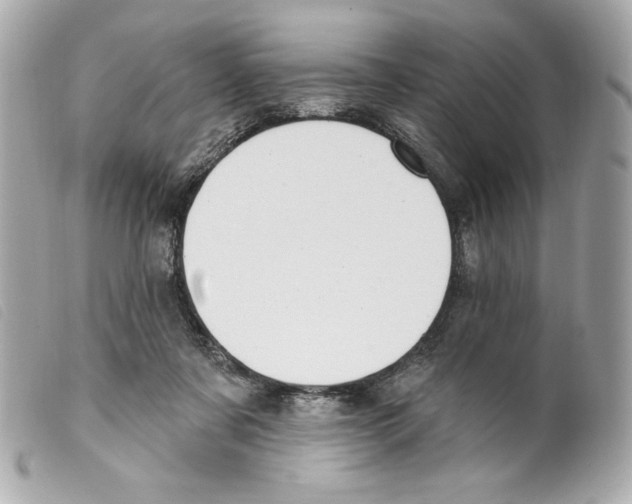 X0000099320311200805301221