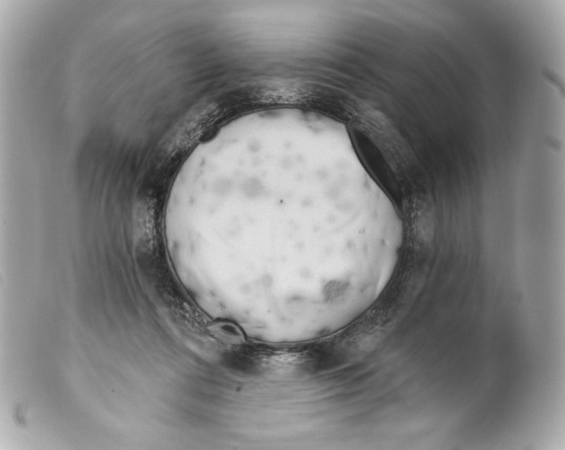 X0000099320312200805301221
