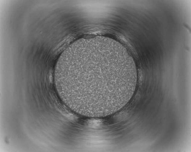 X0000099320313200805301221