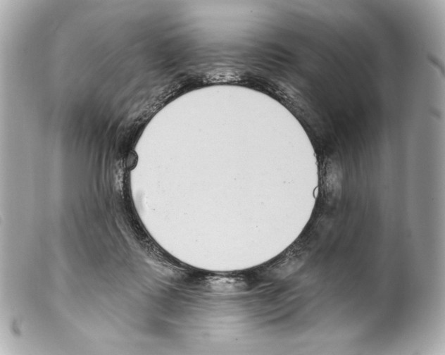 X0000099320315200805301221