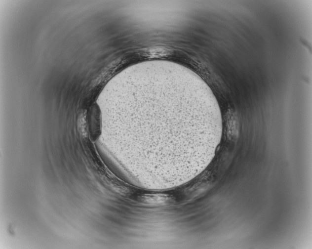 X0000099320316200805301221