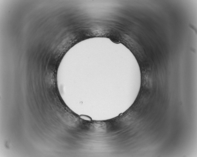 X0000099320317200805301221