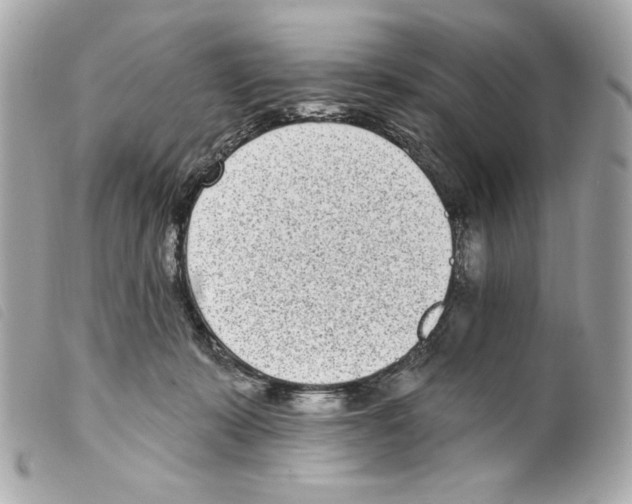 X0000099320319200805301221