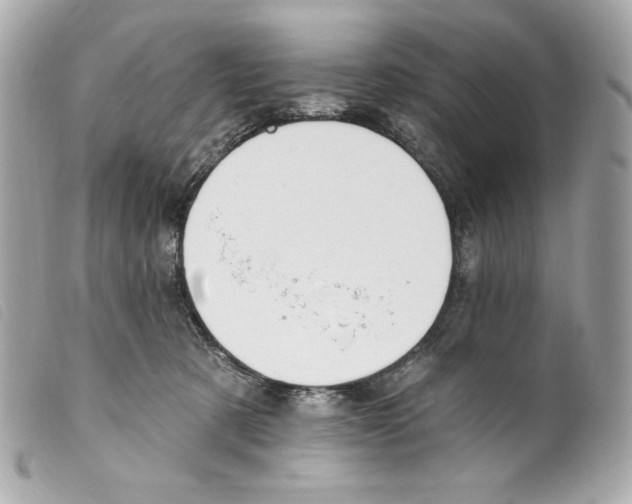 X0000099320321200805301221