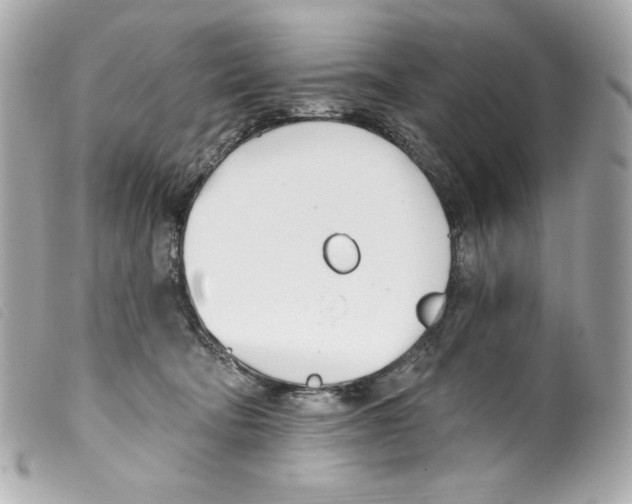 X0000099320322200805301221