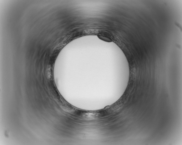 X0000099320323200805301221