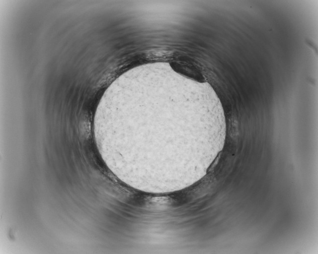 X0000099320324200805301221
