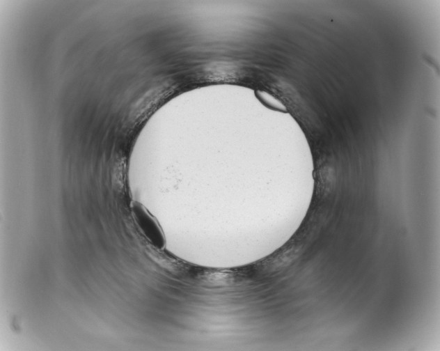 X0000099320325200805301221