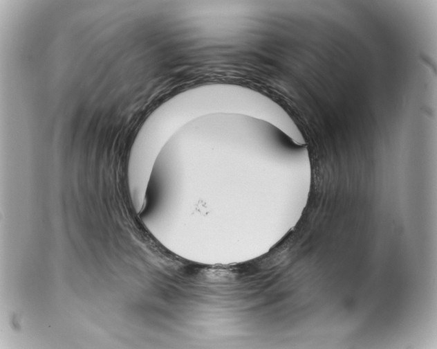 X0000099320327200805301221