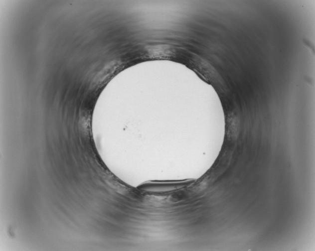 X0000099320329200805301221