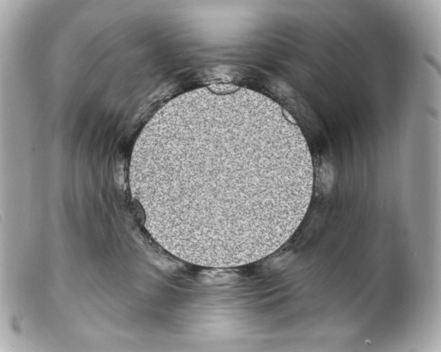 X0000099320331200805301221