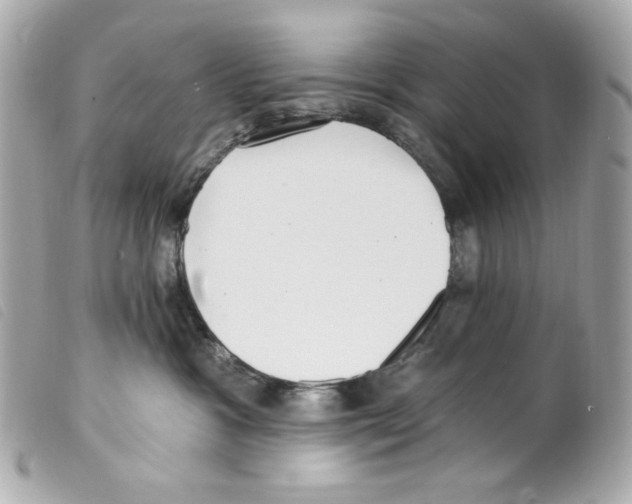 X0000099320333200805301221