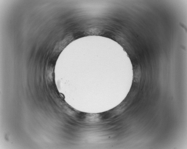 X0000099320334200805301221