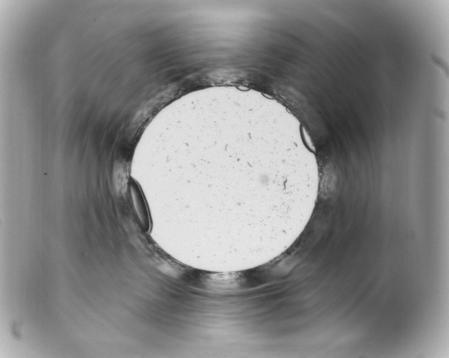 X0000099320335200805301221