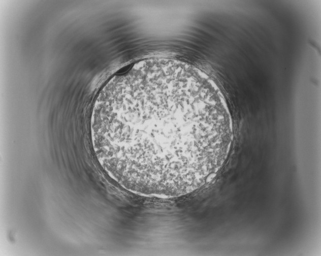 X0000099320337200805301220