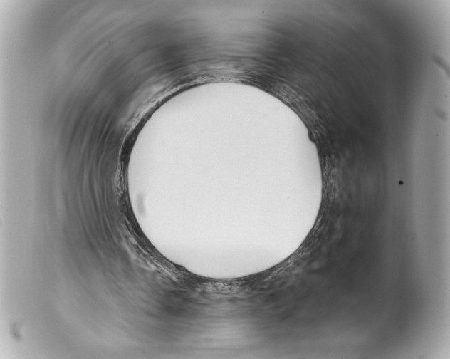 X0000099320338200805301220