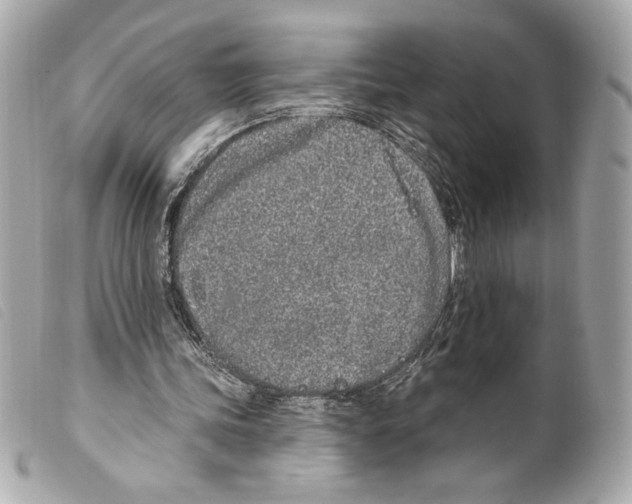 X0000099320339200805301220