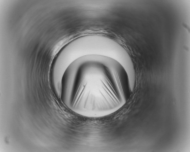 X0000099320340200805301220