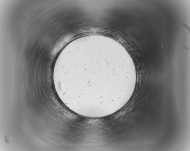 X0000099320341200805301220