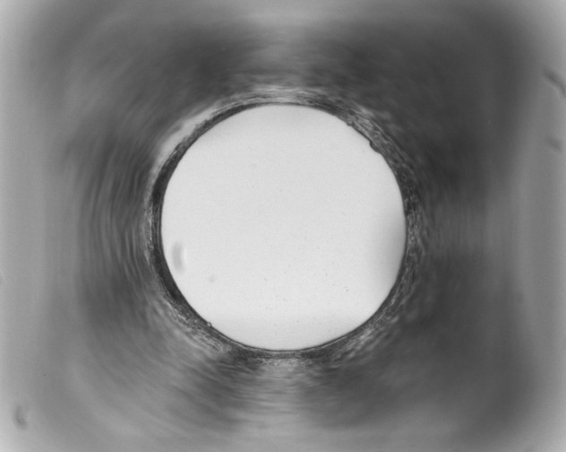 X0000099320342200805301220