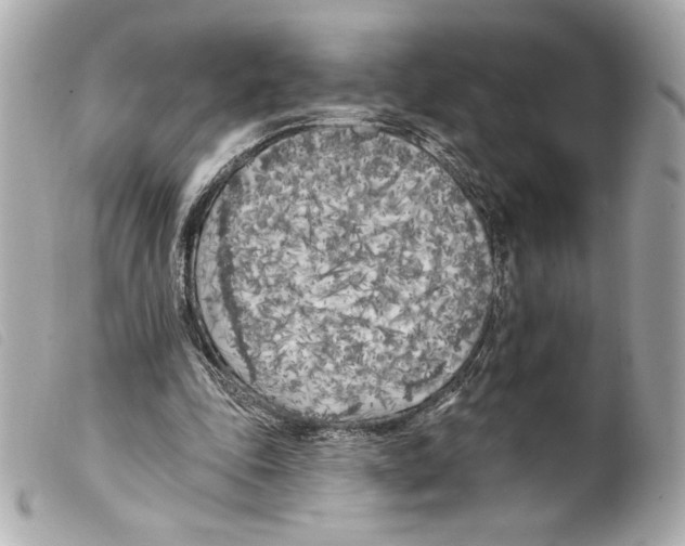 X0000099320343200805301220