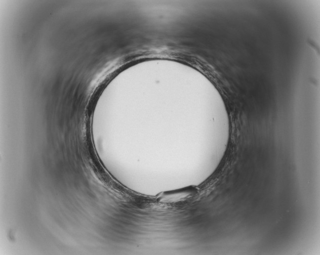 X0000099320344200805301220
