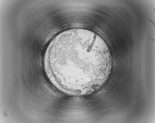 X0000099320347200805301220