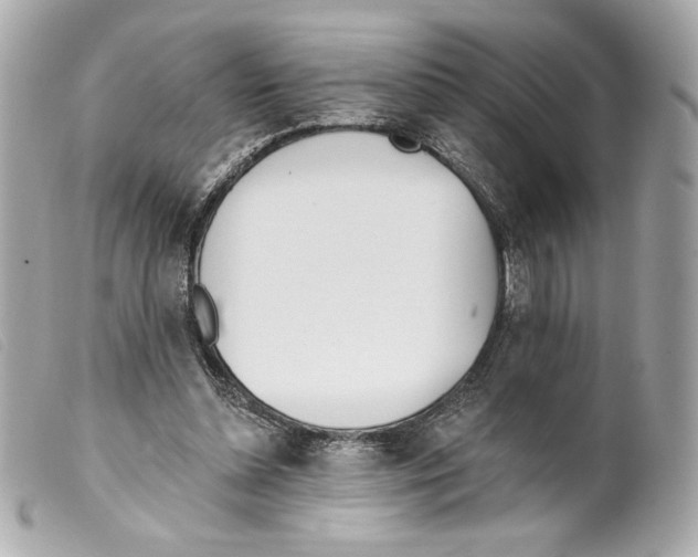 X0000099320348200805301220