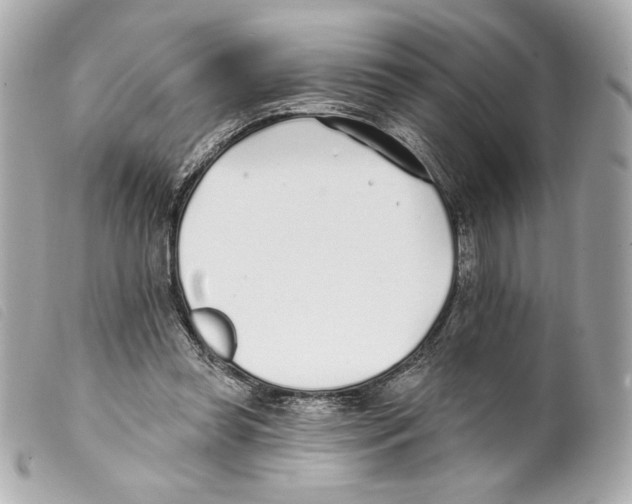 X0000099320349200805301220
