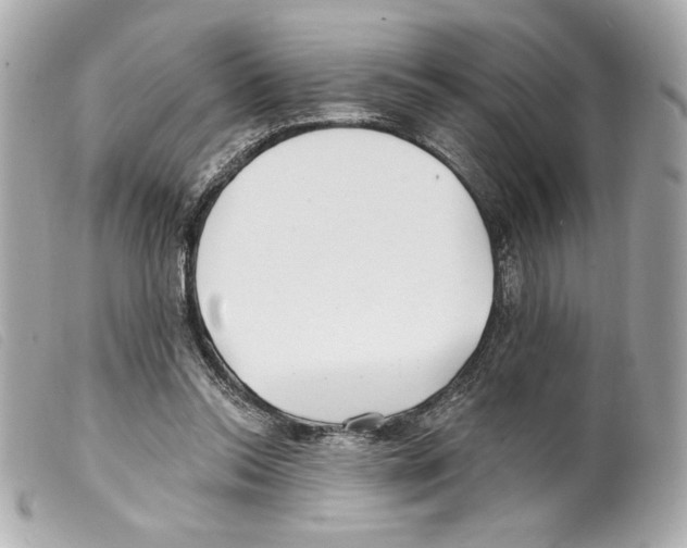 X0000099320350200805301220