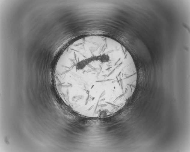 X0000099320351200805301220