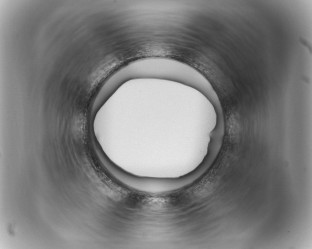 X0000099320352200805301220