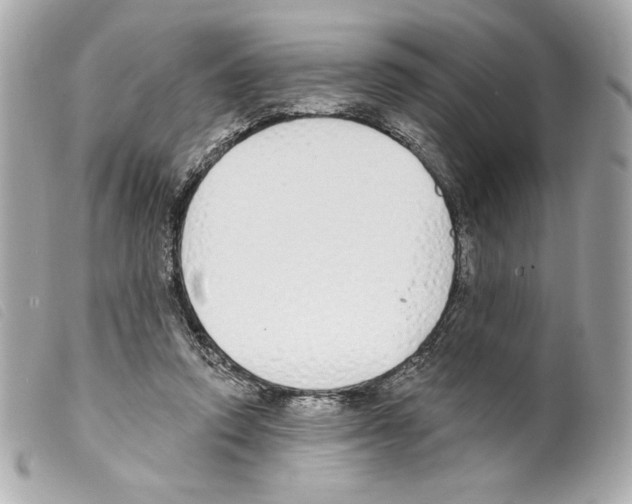 X0000099320354200805301220
