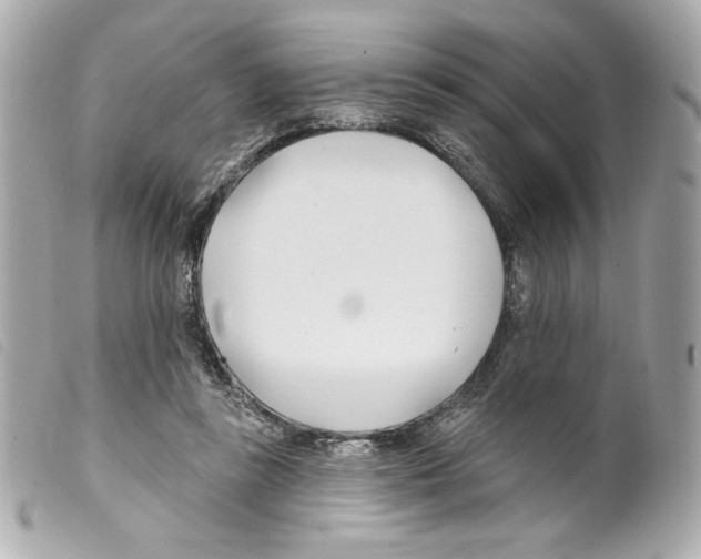 X0000099320355200805301220