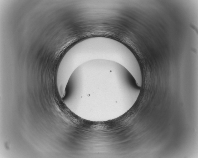 X0000099320356200805301220