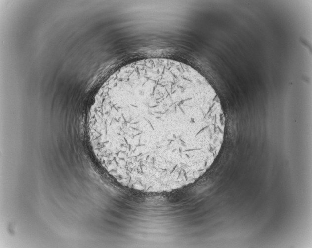 X0000099320357200805301220