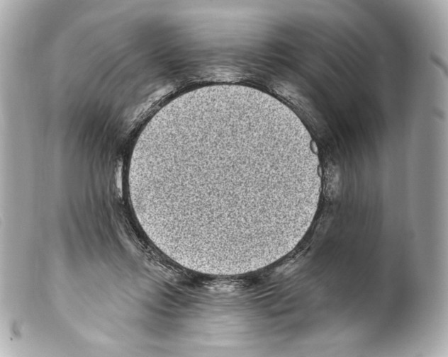 X0000099320358200805301220