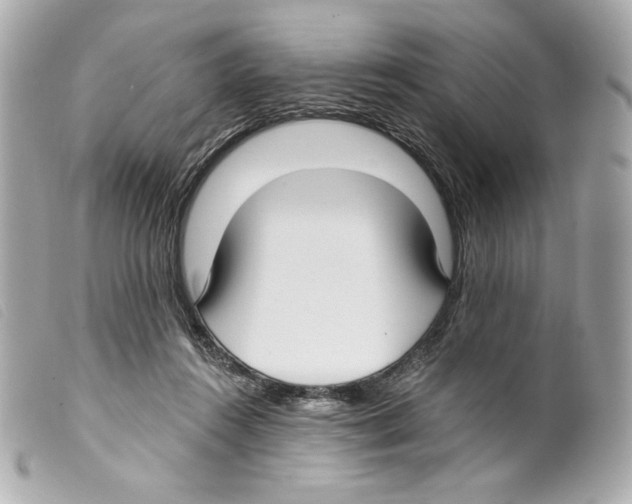 X0000099320360200805301220