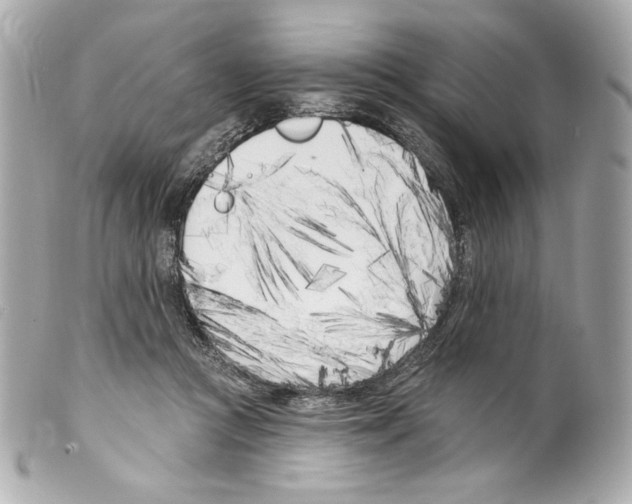 X0000099320361200805301220