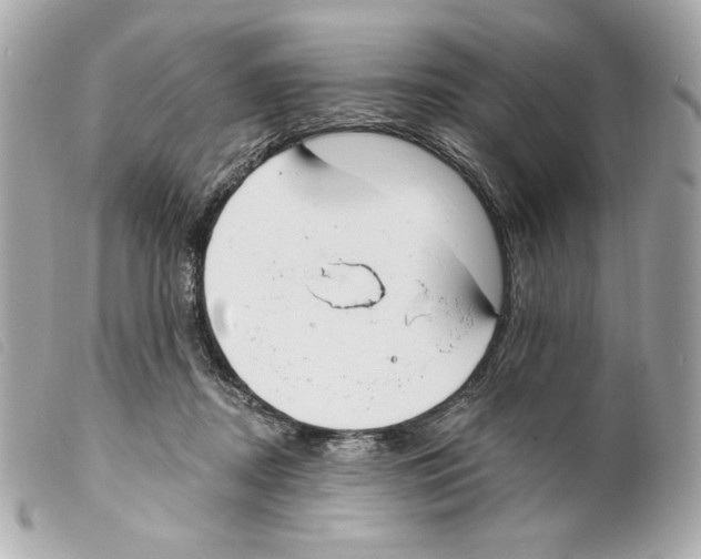 X0000099320362200805301220