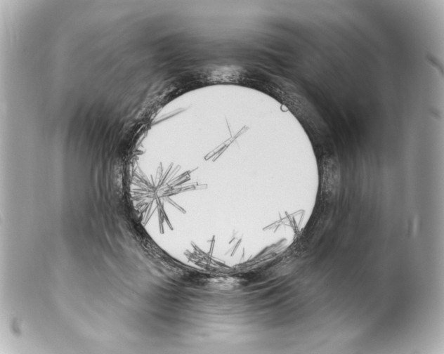 X0000099320363200805301220