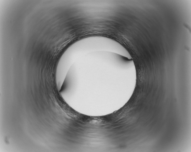 X0000099320364200805301220