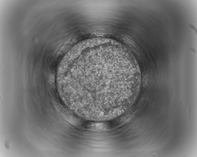 X0000099320365200805301220
