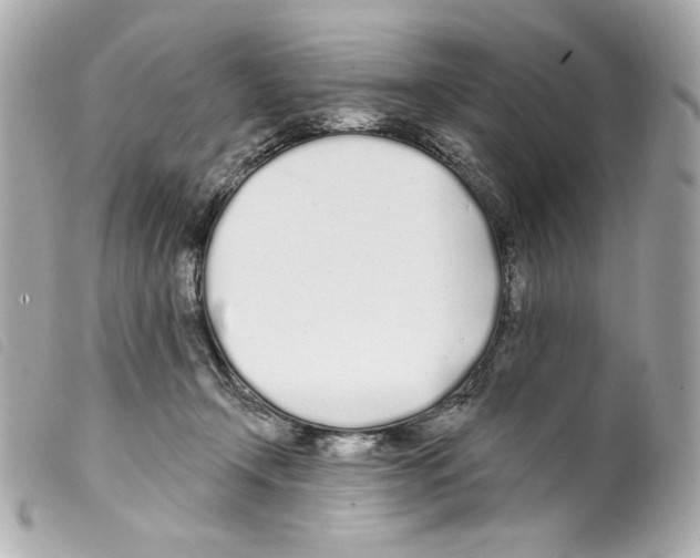 X0000099320366200805301220
