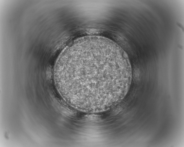 X0000099320367200805301220