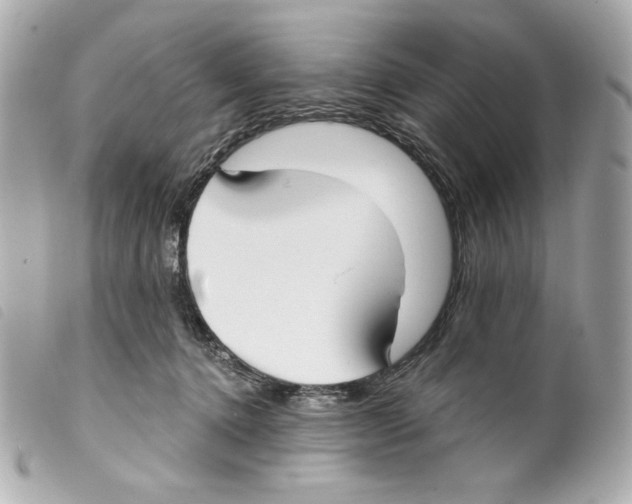 X0000099320368200805301220