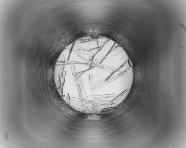 X0000099320369200805301220