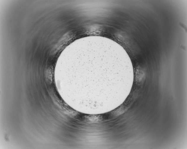 X0000099320370200805301221