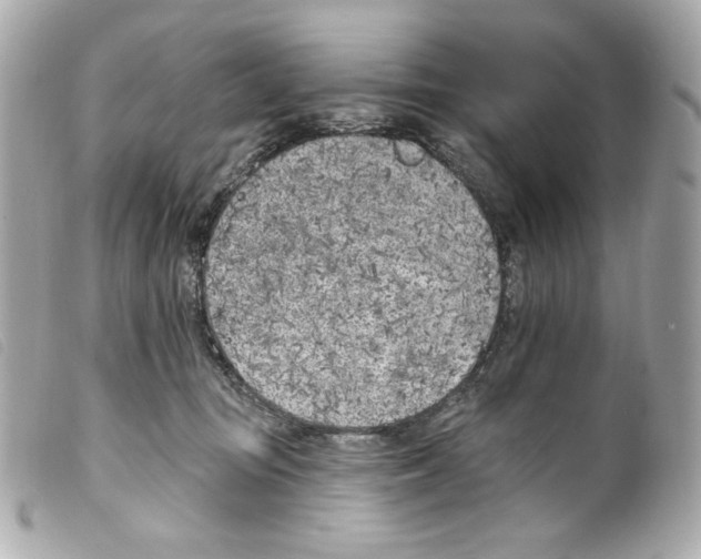 X0000099320371200805301221