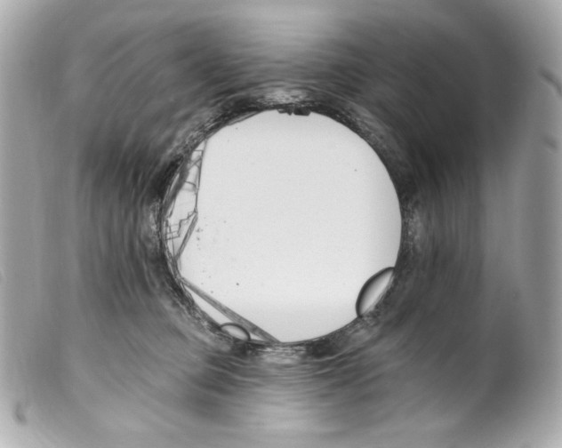 X0000099320373200805301221